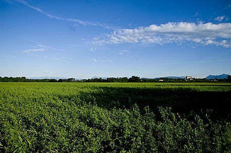 Fagagna